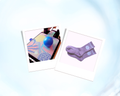 Reformer Pilates Starter Kit